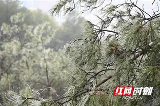江南电竞赛事直播电竞直播